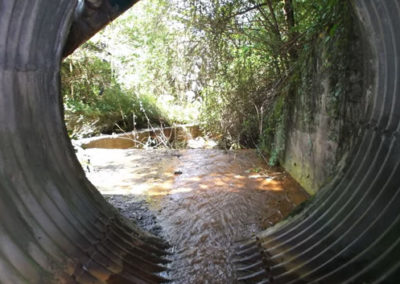 Asistencia Técnica en Dirección de Obras en Aranbeltz y control de aguas en Urruzuno