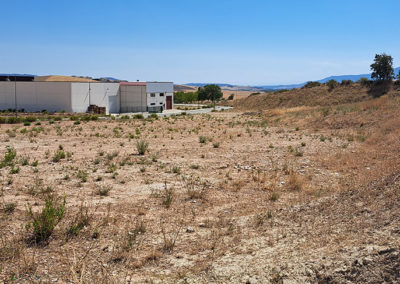 Estudios técnicos y redacción del Proyecto de Ejecución del Centro Logístico de Biomasa en Tierra Estella