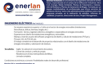 Se busca Ingeniero Eléctrico